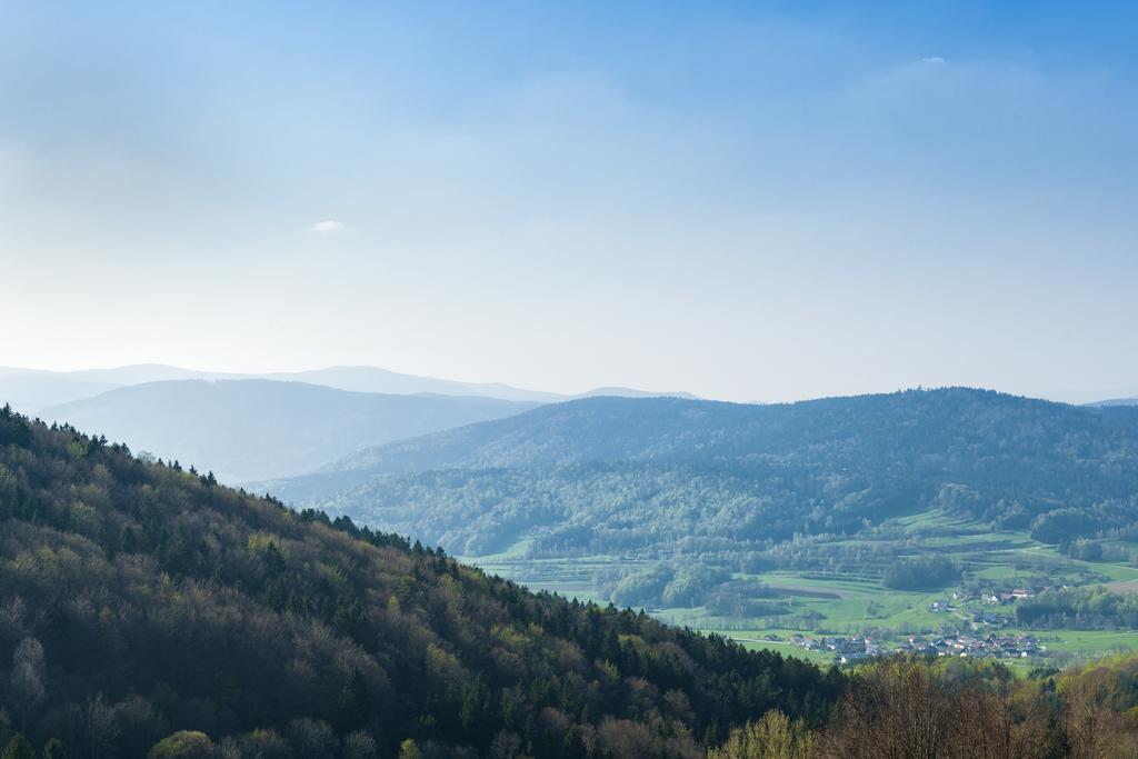 Panorama-Landgasthof Ranzinger Schöfweg Esterno foto